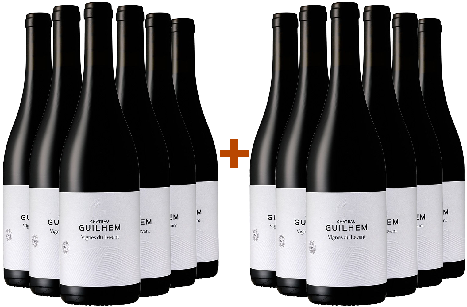 6+6 Paket Cuvée Vignes du Levant Rouge Malepère AOP BIO