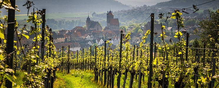 Felsengartenkellerei Besigheim 