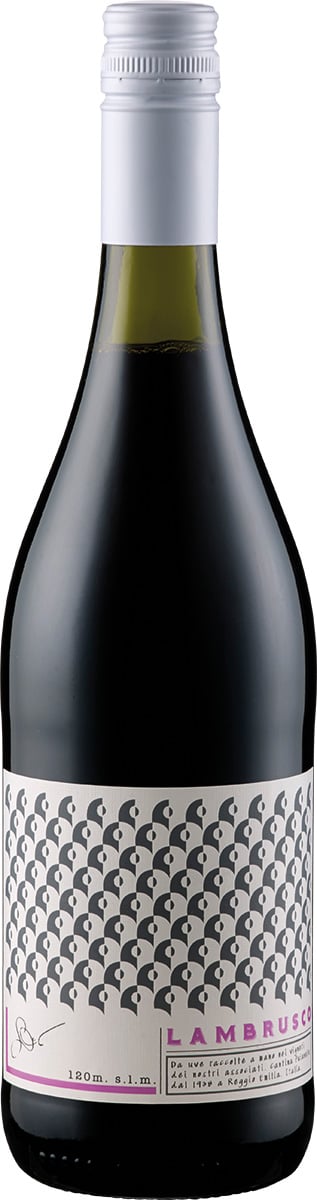 Lambrusco Grasparossa di Castelvetro DOC reflection
