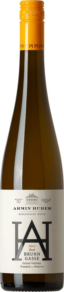 2017 Grüner Veltliner Ried BRUNNGASSE Kamptal DAC BIO reflection