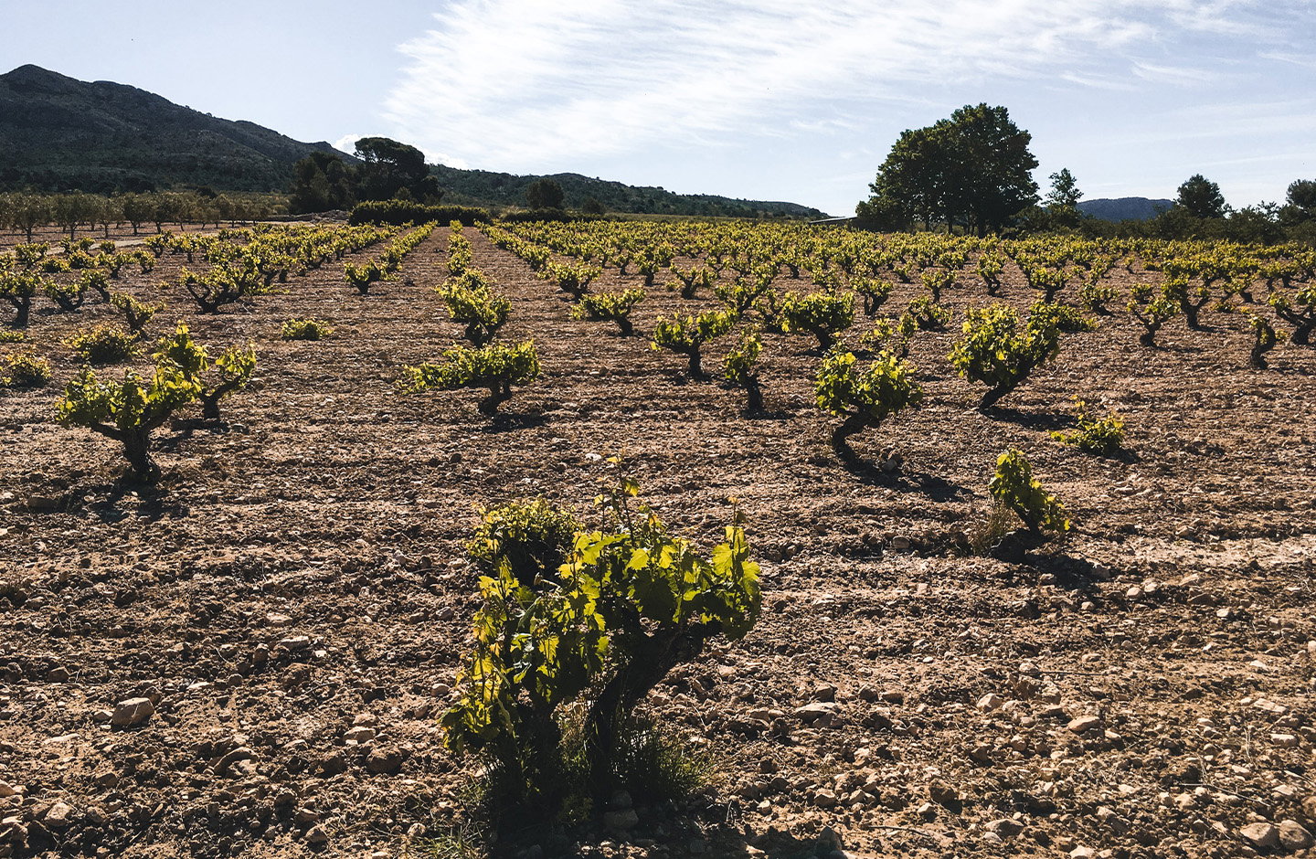 Sierra de Cabreras