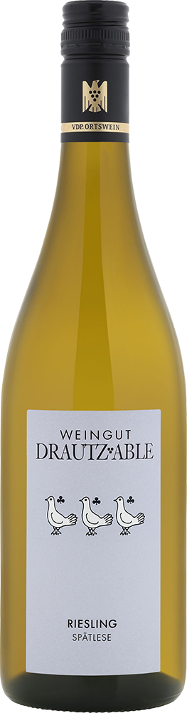 2024 Heilbronner Riesling »Drei Tauben« VDP.ORTSWEIN