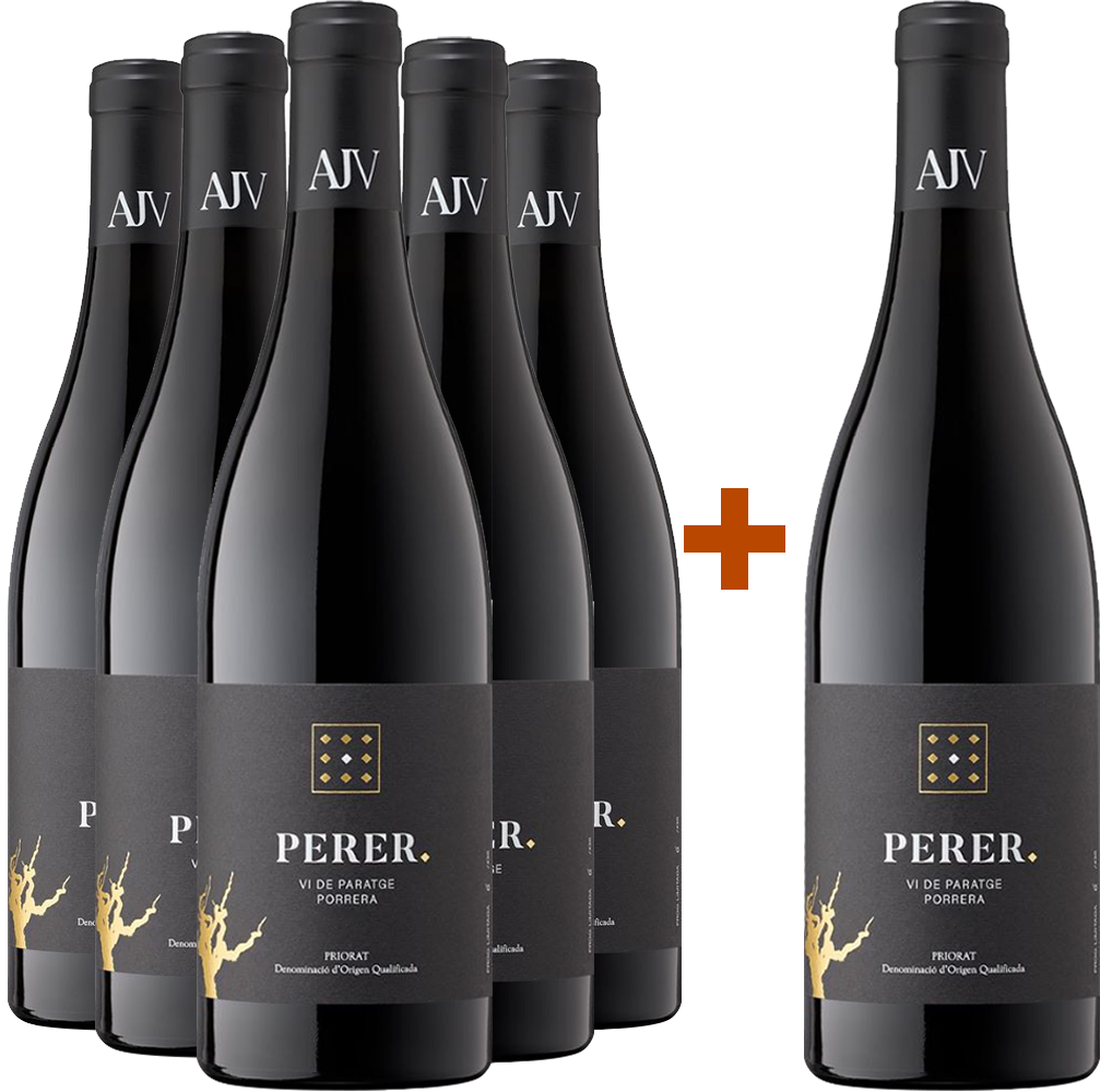 5+1 Aktionspaket Perer Priorat DOCa BIO
