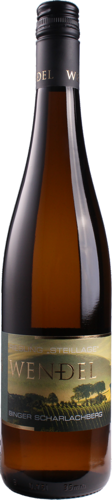 2023 Riesling STEILLAGE Spätlese reflection