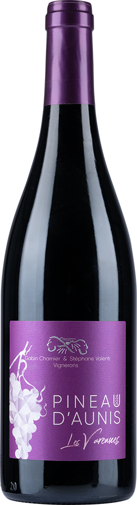 2025 VIN DE FRANCE PINEAU D'AUNIS