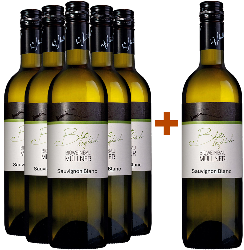 5+1 2025 Sauvignon Blanc BIO Paket - BIO Weinbau Müllner KG BIO