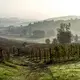 Coppo