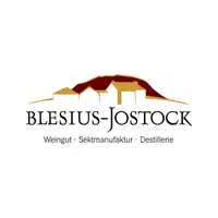 Blesius-Jostock Logo