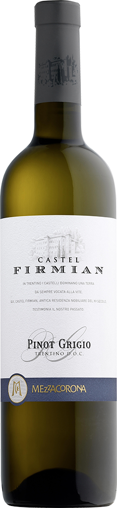 2024 Pinot Grigio Trentino DOC