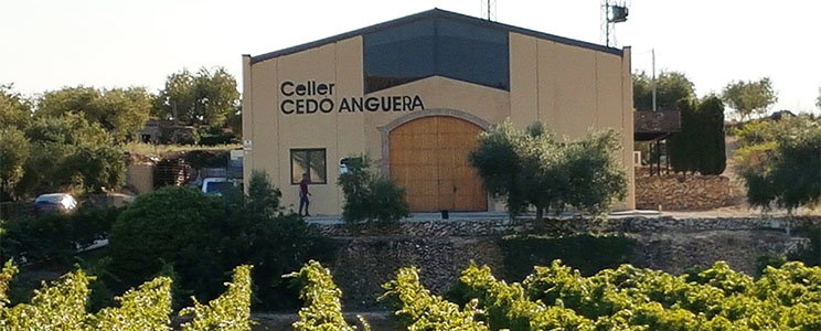 Terra de Falanis