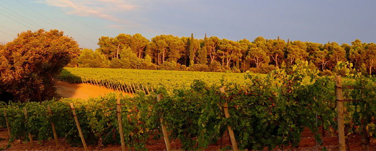 Bastide
