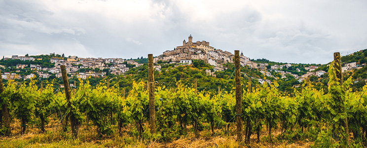 Poggio Salvi