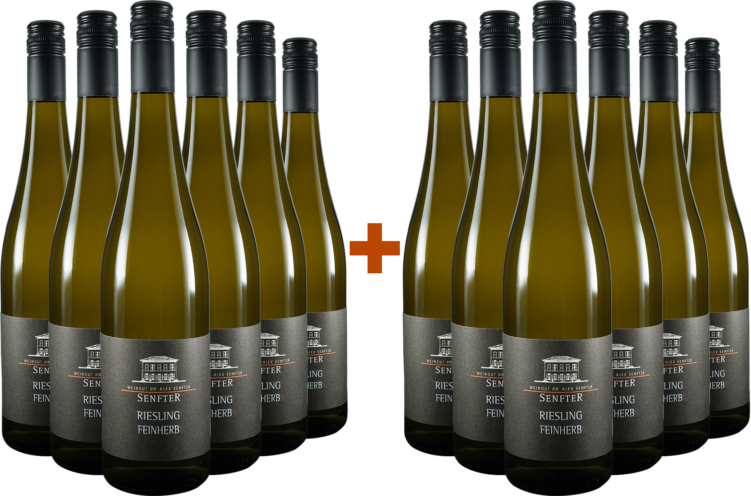 6+6 Paket Riesling Feinherb