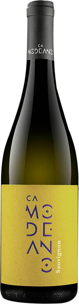 2025 Sauvignon Friuli DOC