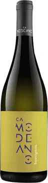 2025 Sauvignon Friuli DOC