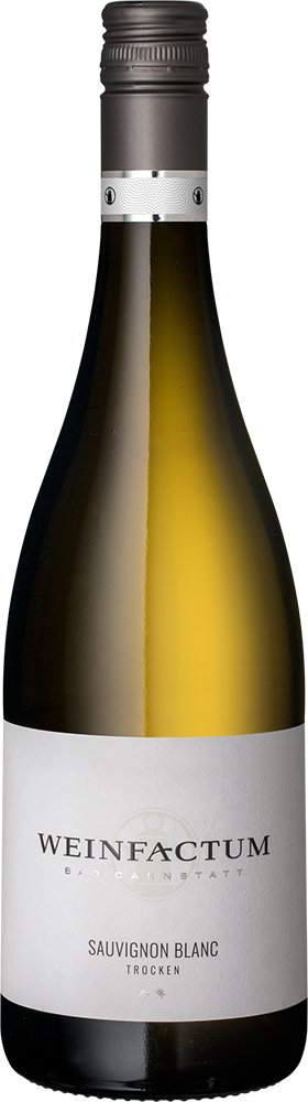 2024 Sauvignon Blanc **