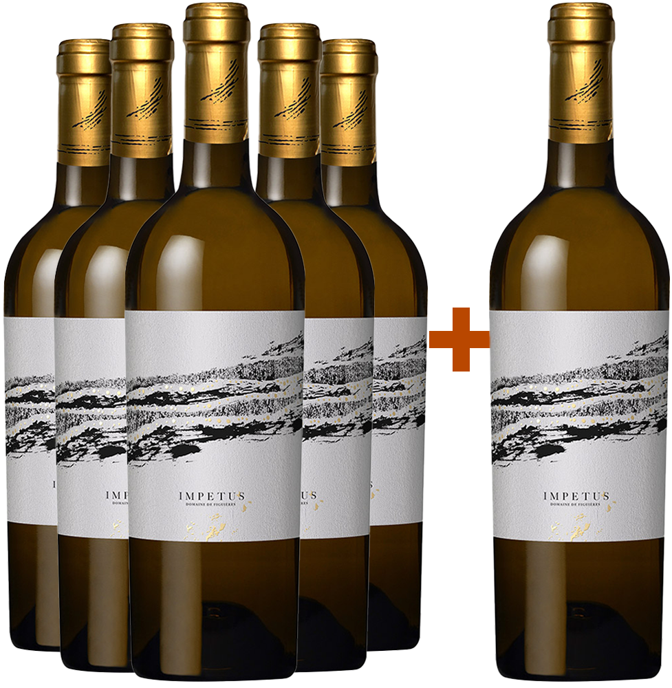 5+1 Paket 2017 Impetus Blanc