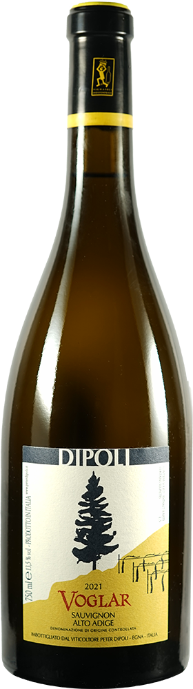 2019 Voglar Private Riserve Alto Adige DOC reflection