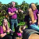 Weingut Ellbrück
