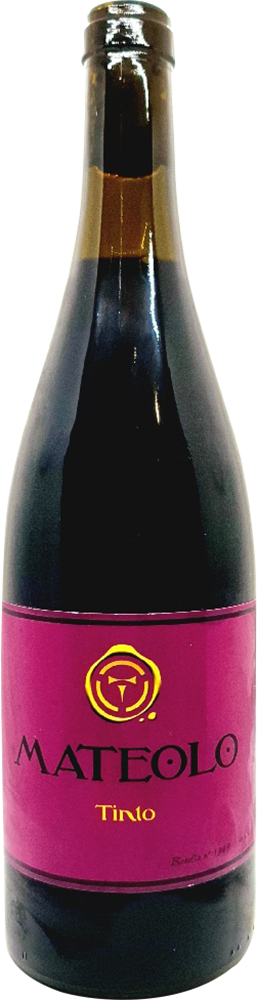 2022 Mateolo Tinto