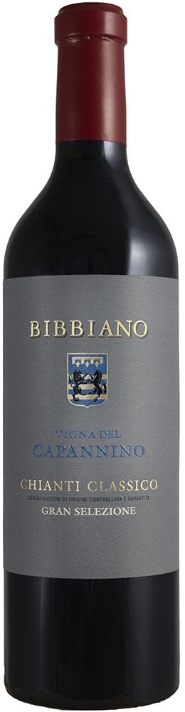 2020 Vigna del Capannino Chianti Classico Gran Selezione DOCG BIO reflection