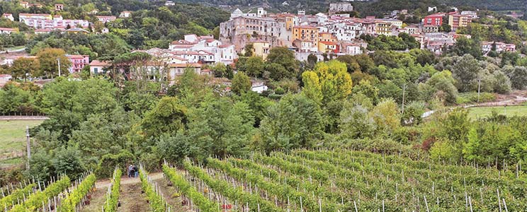 Romano