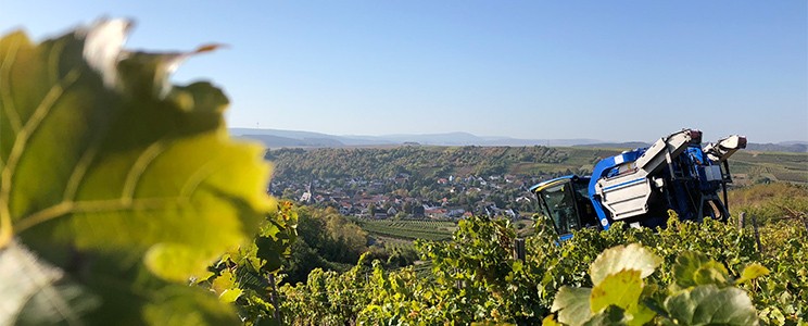 Zehnthof Kruger