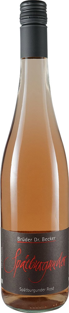2025 Spätburgunder rosé VDP.GUTSWEIN BIO