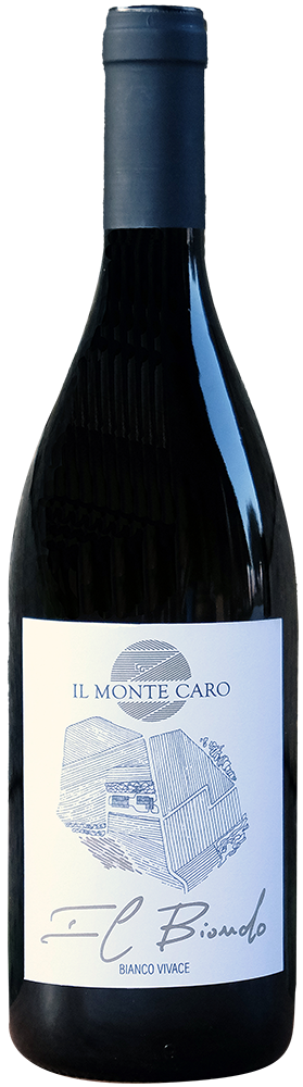 2023 Il Biondo Verona IGP