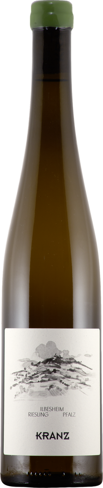2025 Ilbesheim Riesling Ortswein BIO