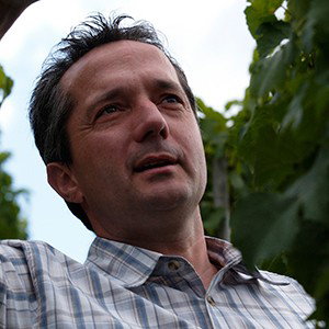 Wolfgang Mertes