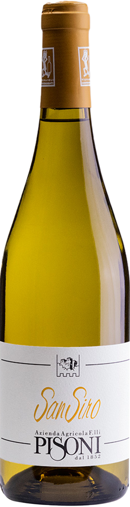 2025 San Siro Chardonnay Vigneti delle Dolomiti IGP