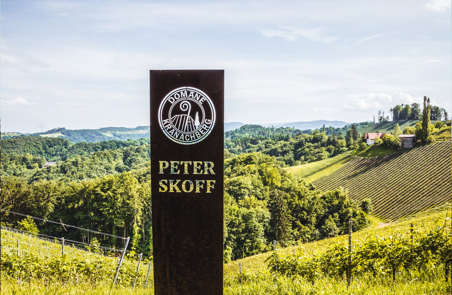 Peter Skoff