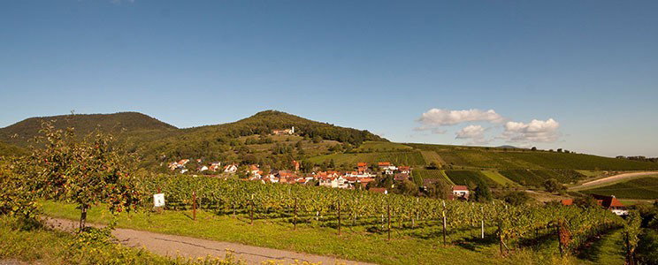 Stübinger