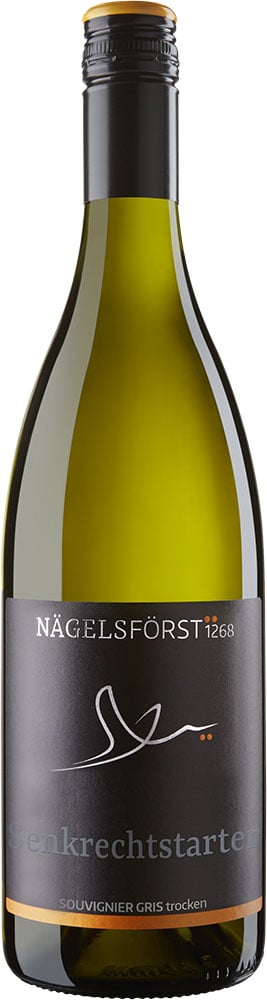 2024 Souvignier Gris Senkrechtstarter