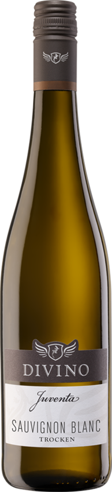 2025 JUVENTA Sauvignon Blanc