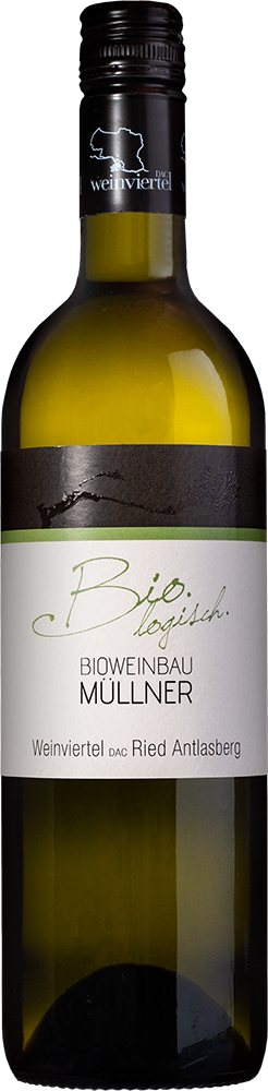 2025 Weinviertel DAC Antlasbergen BIO