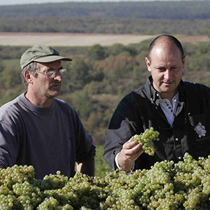 Ropiteau Frères