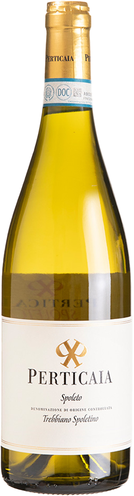 2025 Trebbiano Spoleto DOC