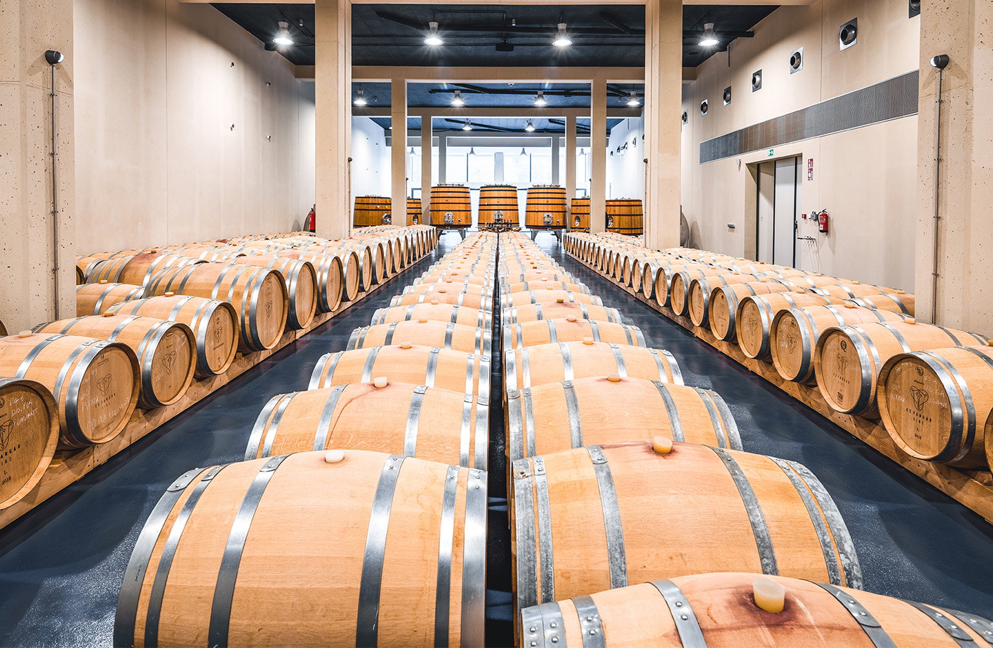 Es Fangar Vins