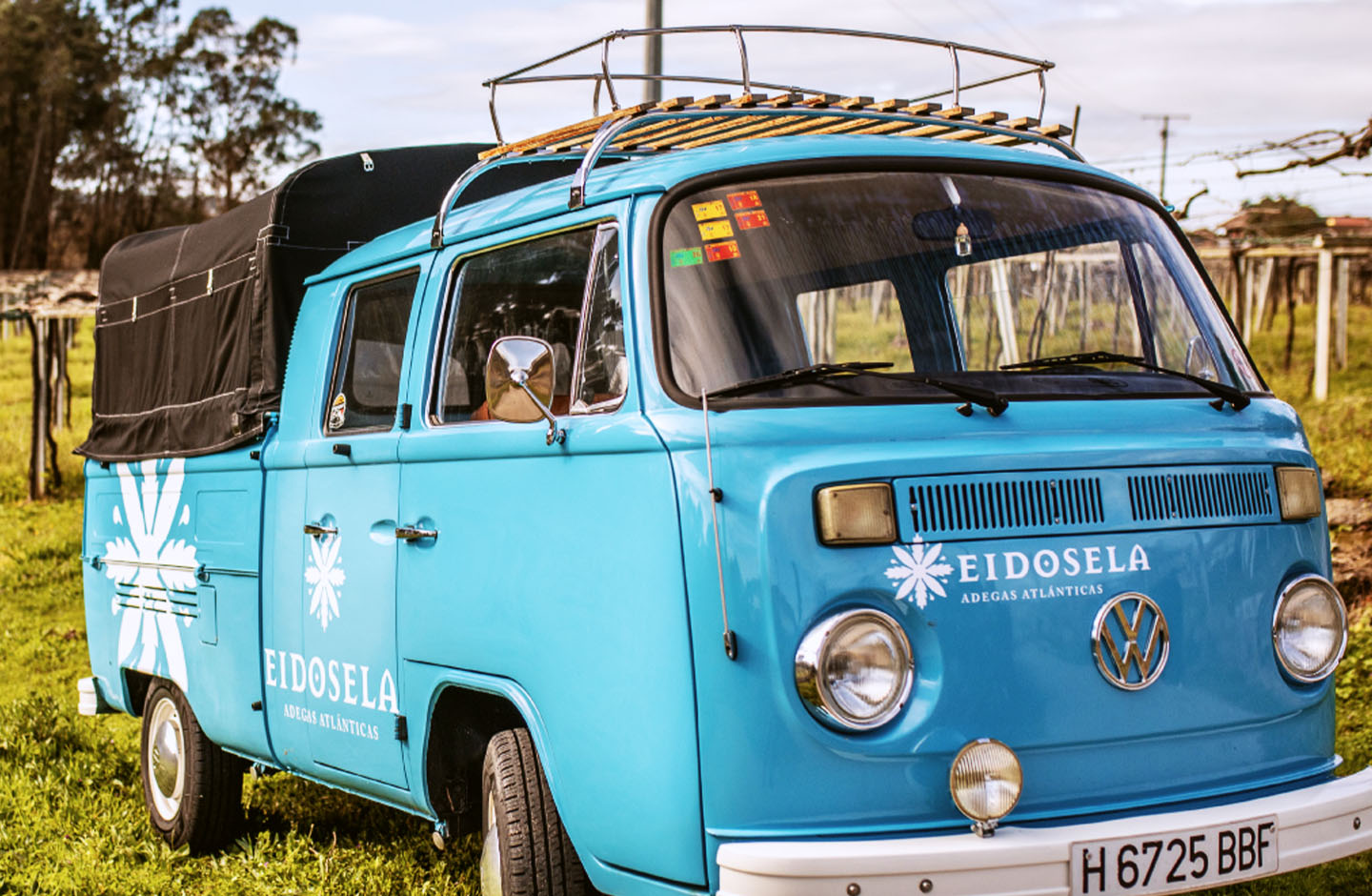 Eidosela