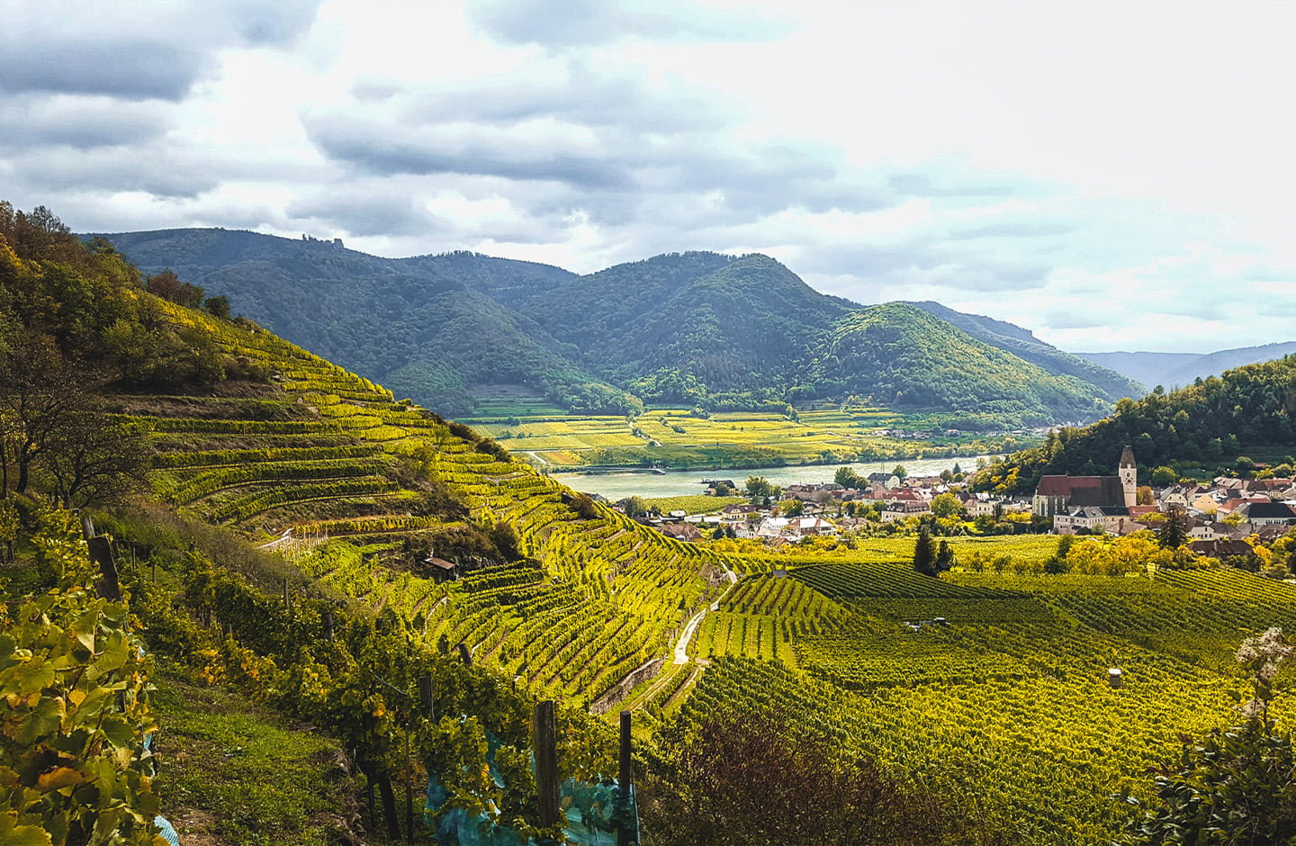 Domäne Wachau