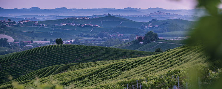 Prunotto