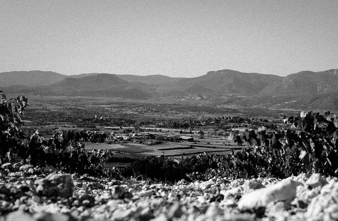 Domaine L'Hermas