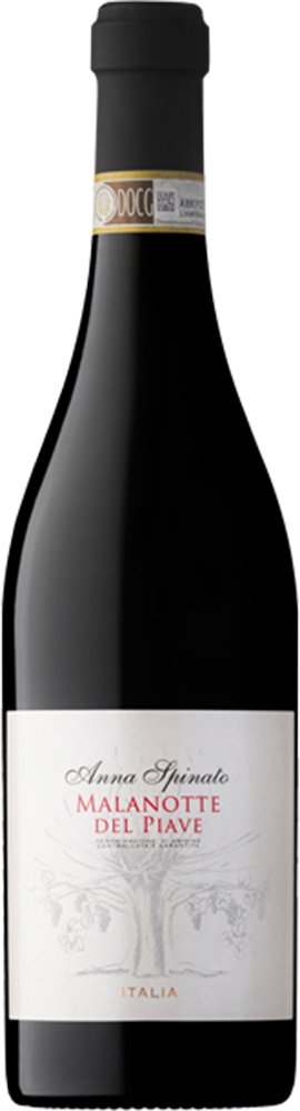2017 Malanotte del Piave DOCG Raboso Superiore