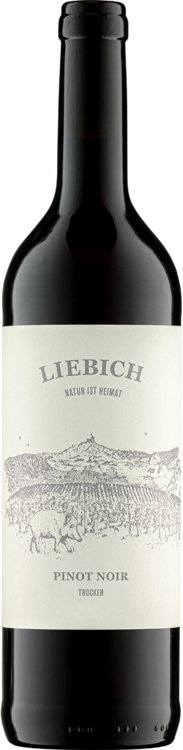 2023 Pinot noir BIO