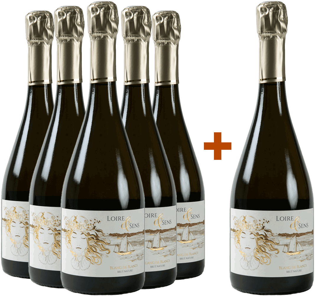 5+1 Paket "Loire & Sens" Crémant de Loire AOP
