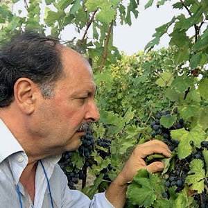 Giuseppe Chillemi