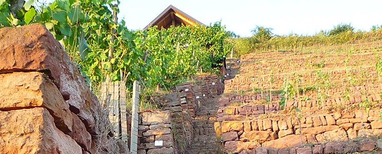 Giegerich