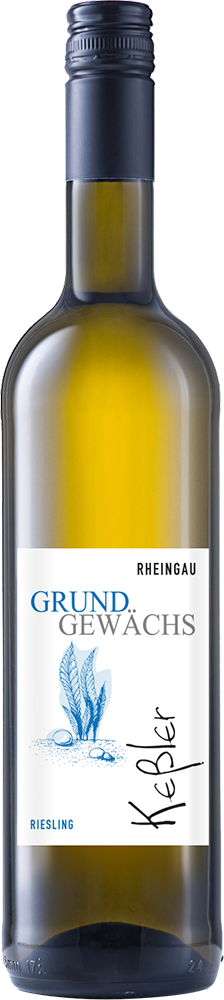2024 GRUNDGEWÄCHS Riesling Qualitätswein 1,0 L
